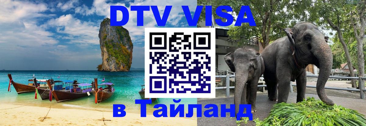 Сколько стоит DTV виза — актуальные цены, оформление даже без документов - 